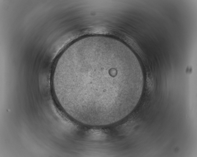 X0000110960534200906191314