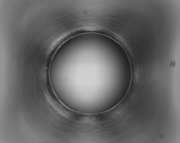 X0000110960535200906191314