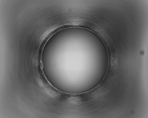 X0000110960536200906191314