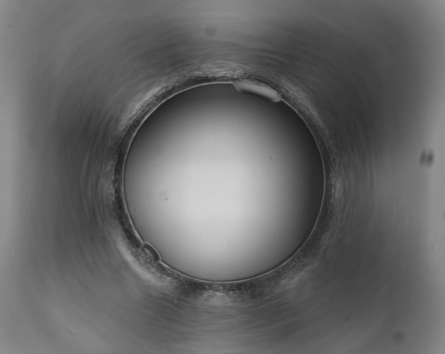 X0000110960538200906191314