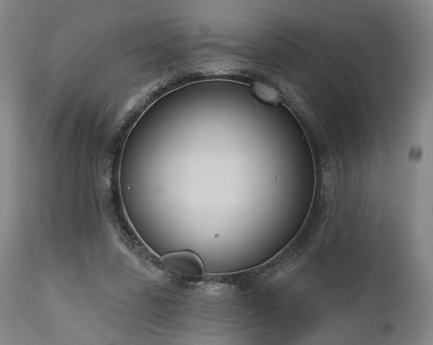 X0000110960539200906191314
