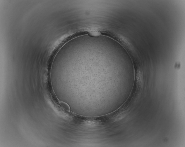 X0000110960540200906191314