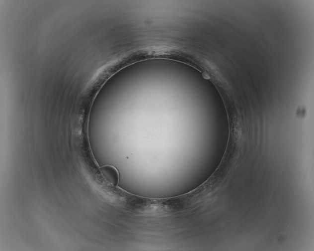 X0000110960543200906191314