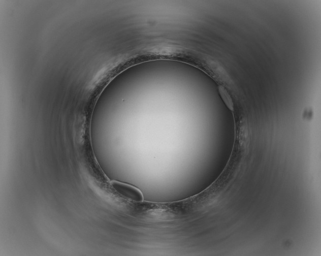 X0000110960544200906191314