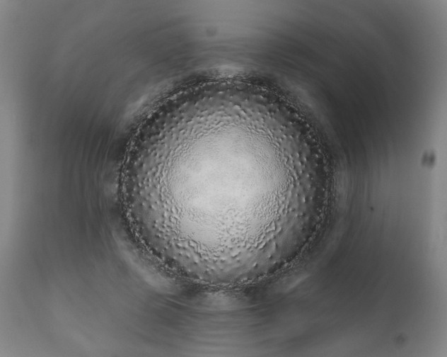 X0000110960545200906191315