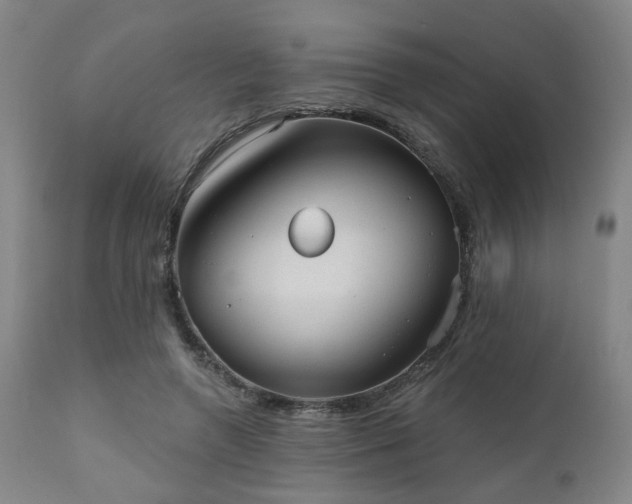 X0000110960546200906191315