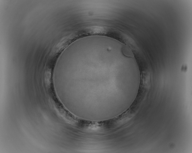 X0000110960550200906191315