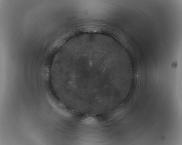 X0000110960551200906191315