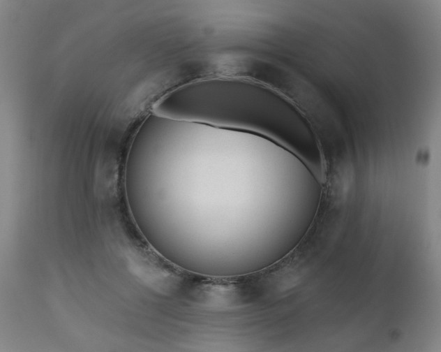 X0000110960552200906191315