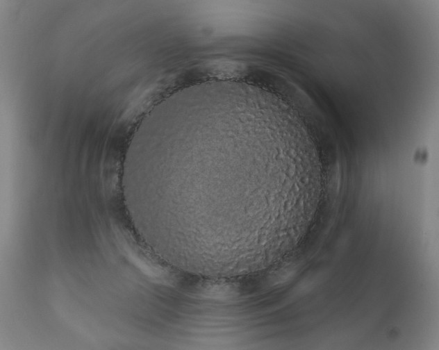 X0000110960553200906191315