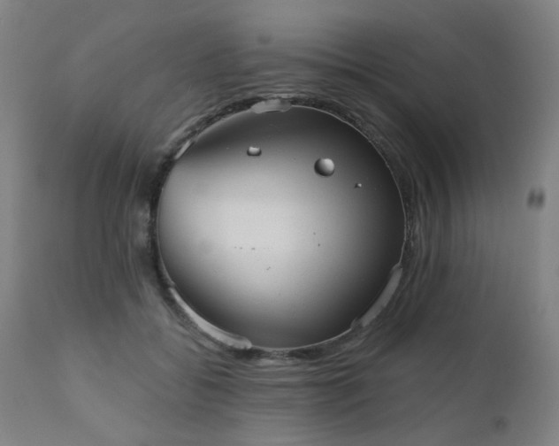 X0000110960556200906191315