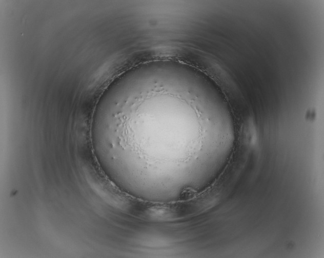 X0000110960557200906191315