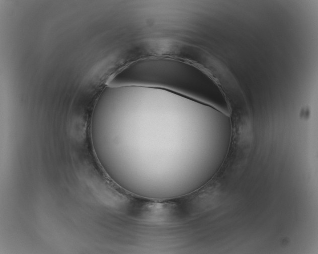 X0000110960558200906191315