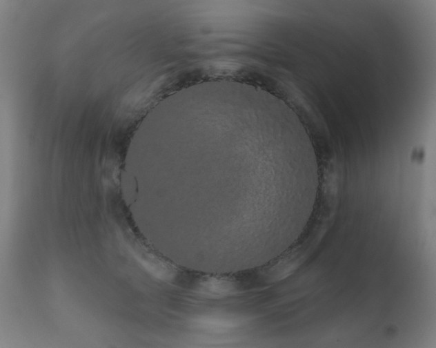 X0000110960561200906191315