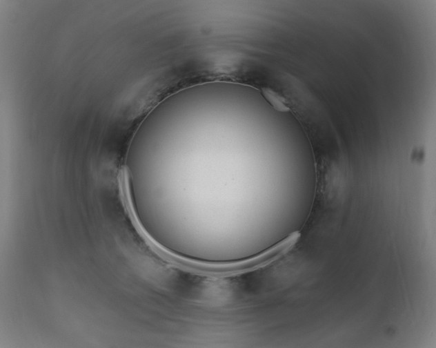 X0000110960562200906191315
