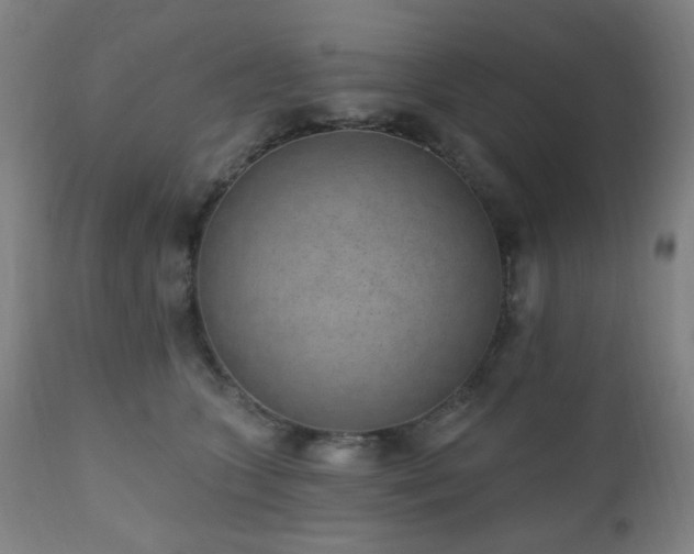 X0000110960563200906191315