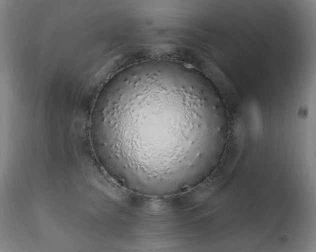 X0000110960565200906191315