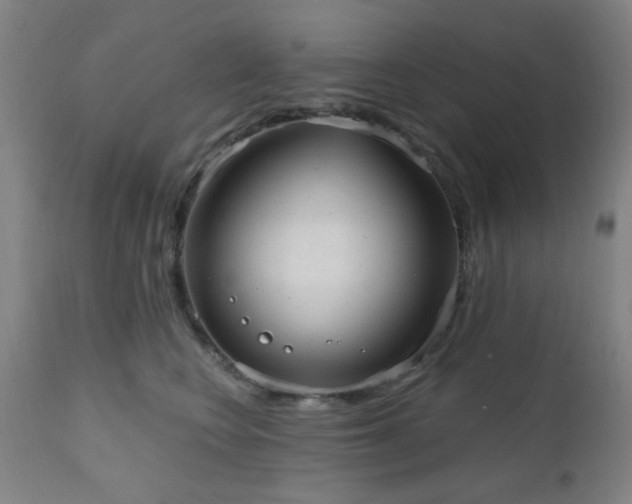 X0000110960566200906191315
