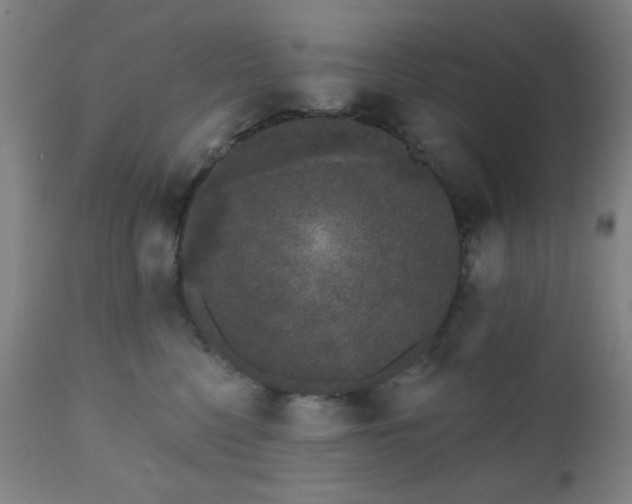 X0000110960568200906191315