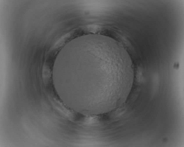 X0000110960569200906191315