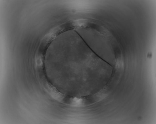 X0000110960570200906191315