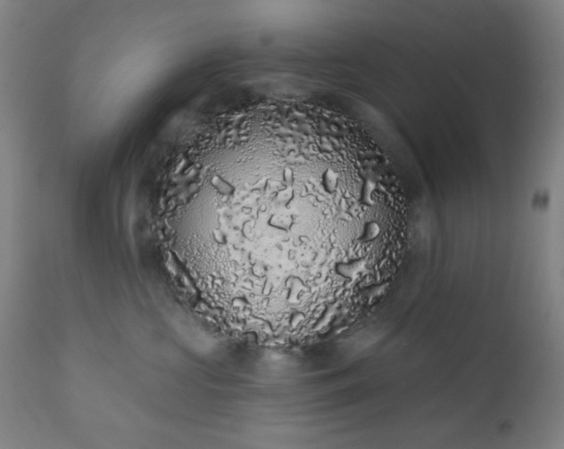 X0000110960573200906191315