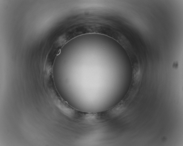 X0000110960574200906191315