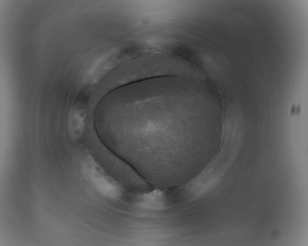 X0000110960576200906191315