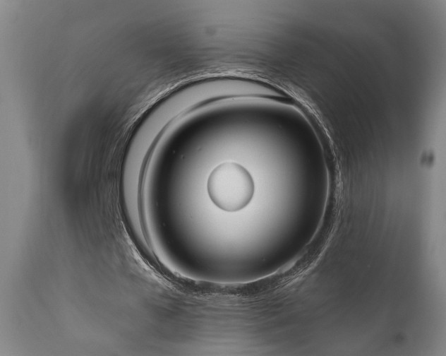 X0000110960577200906191314