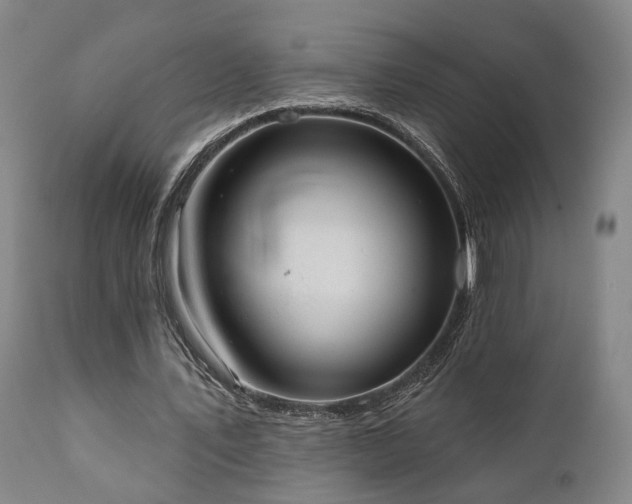 X0000110960579200906191314