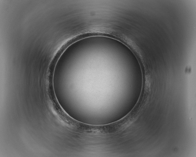 X0000110960580200906191314