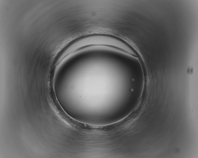X0000110960581200906191314