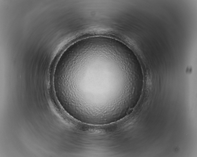 X0000110960582200906191314