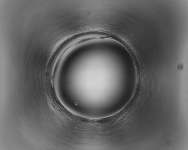 X0000110960583200906191314