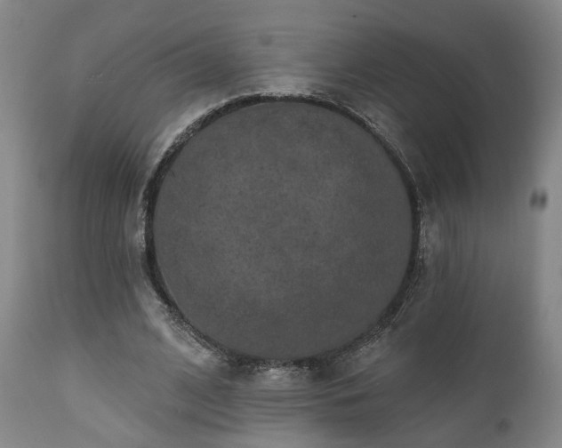 X0000110960584200906191314