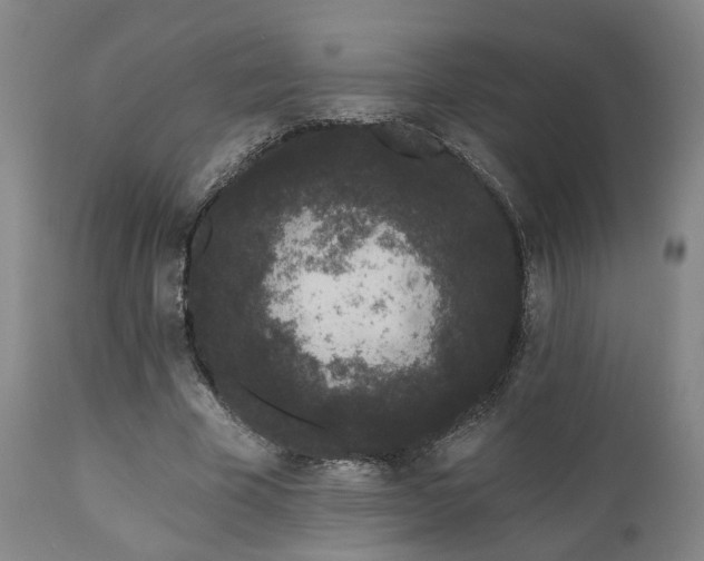 X0000110960585200906191314