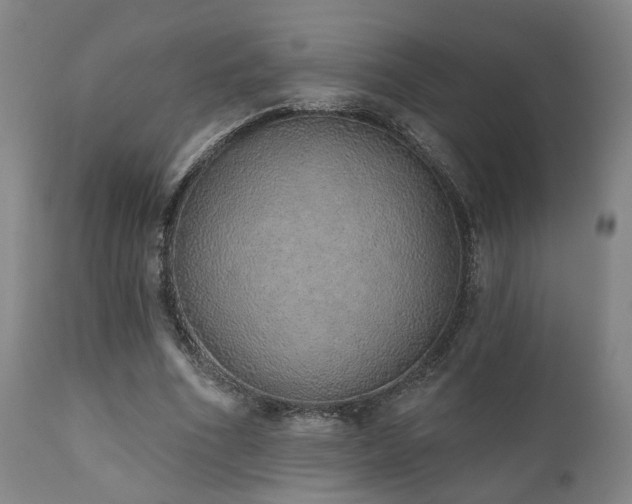 X0000110960586200906191314