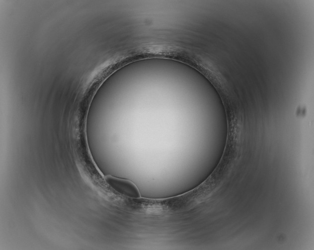 X0000110960587200906191314