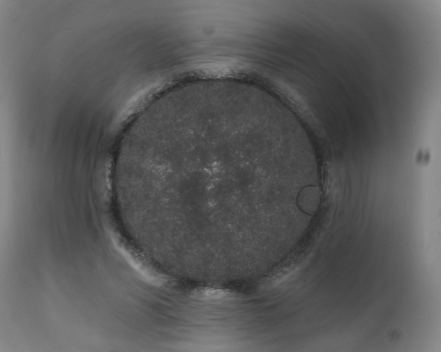 X0000110960590200906191314