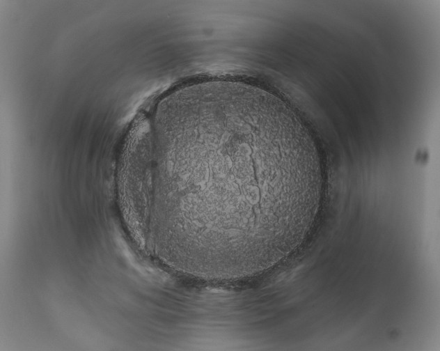 X0000110960592200906191314