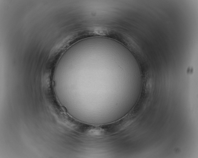 X0000110960595200906191314