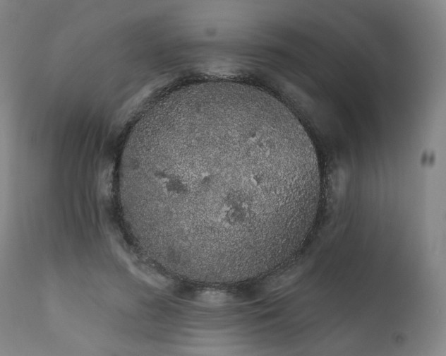 X0000110960596200906191314