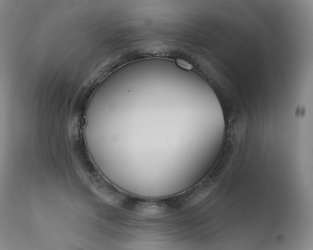 X0000110960597200906191314