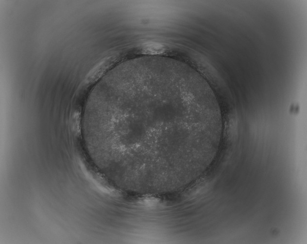 X0000110960598200906191314