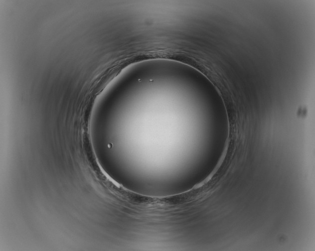 X0000110960599200906191314