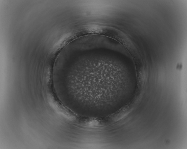 X0000110960600200906191314
