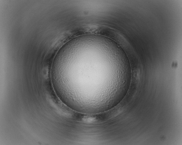 X0000110960602200906191314