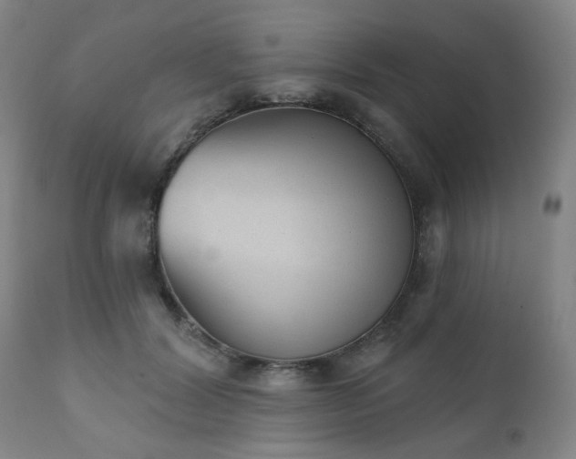 X0000110960604200906191314