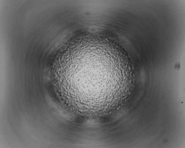 X0000110960606200906191314