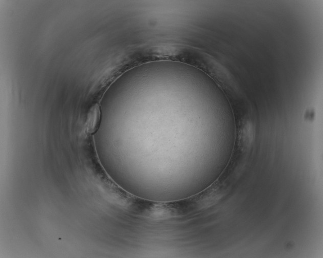 X0000110960608200906191314